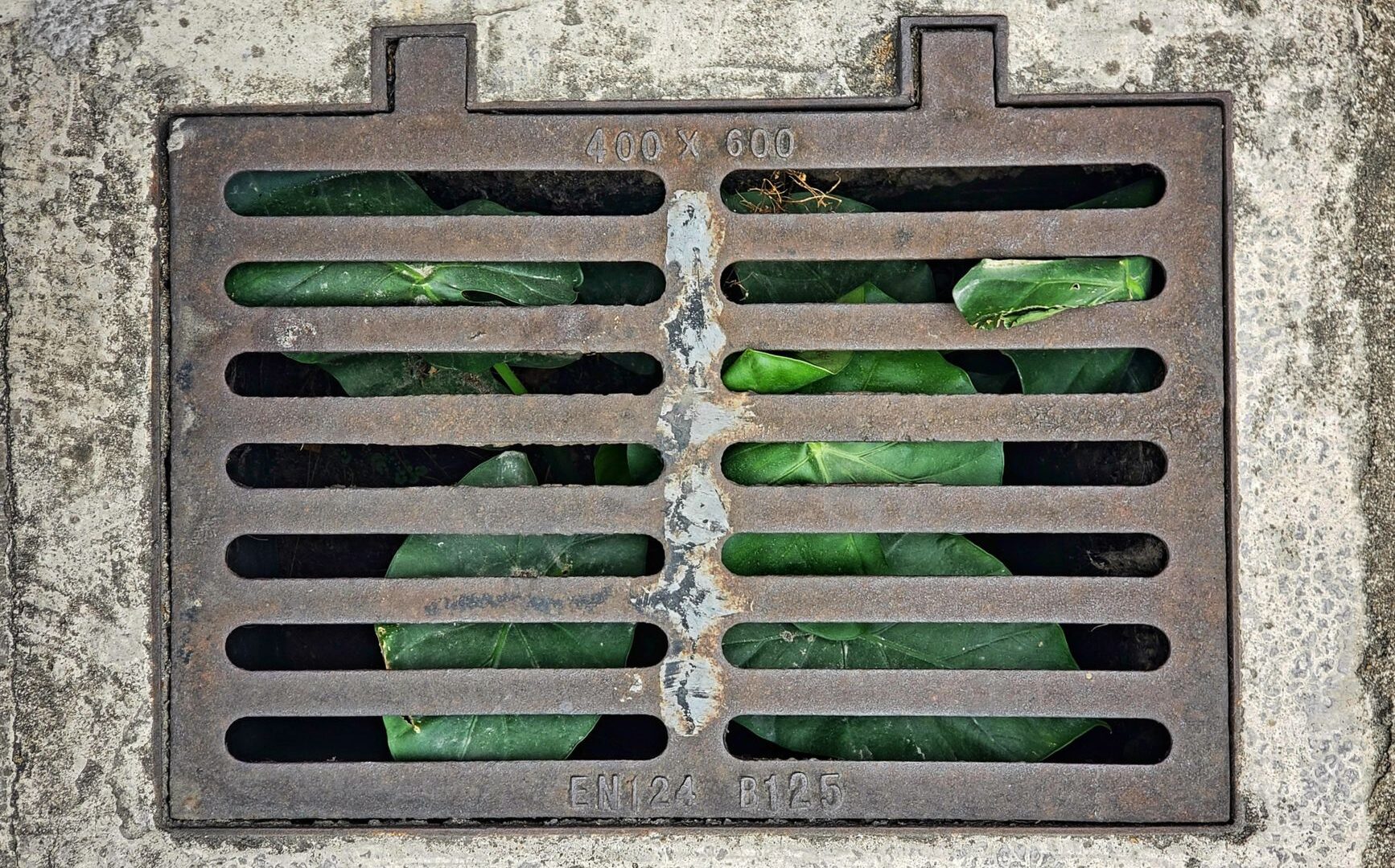 Drainage & Grading in Mandeville in New Orleans