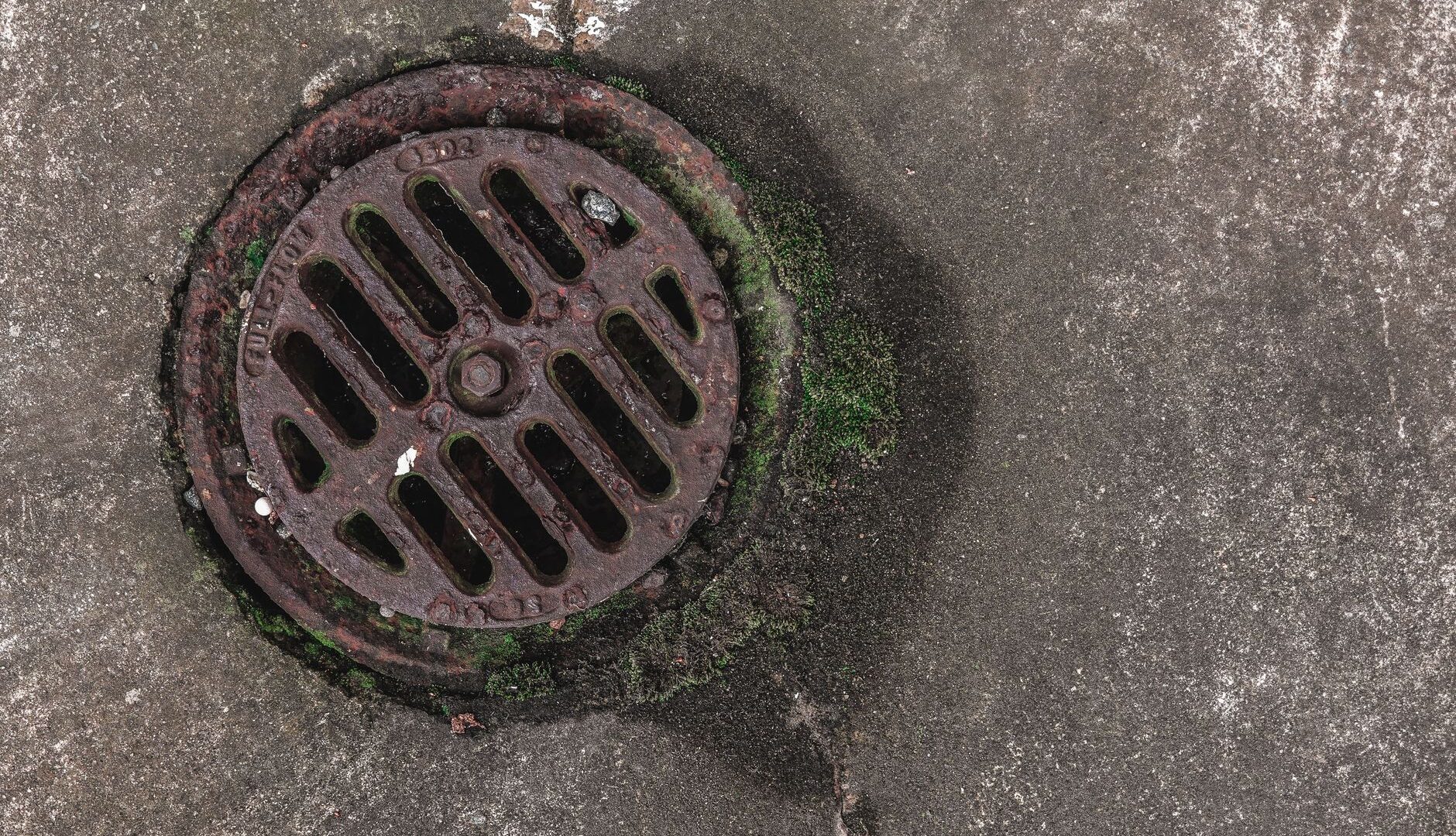 How to Fix a Backyard That Floods in New Orleans