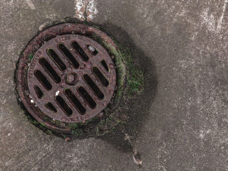How to Fix a Backyard That Floods in New Orleans